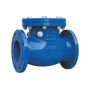 Check valves